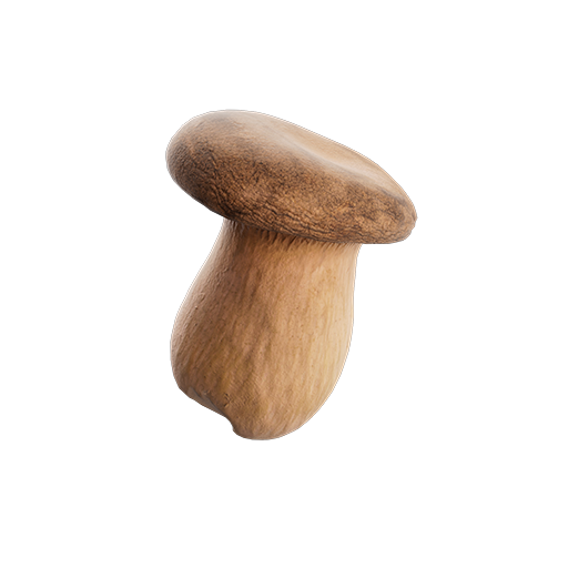 Mushroom