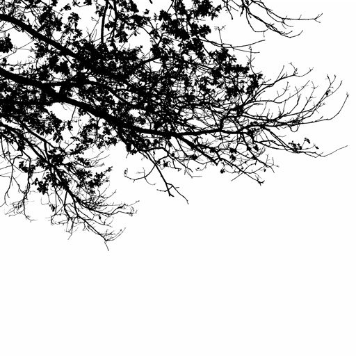 mxn_gobos_ext_tree_001_v01_srgb.png