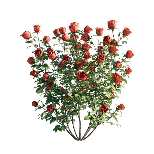 Roses - Red - 0.50 m
