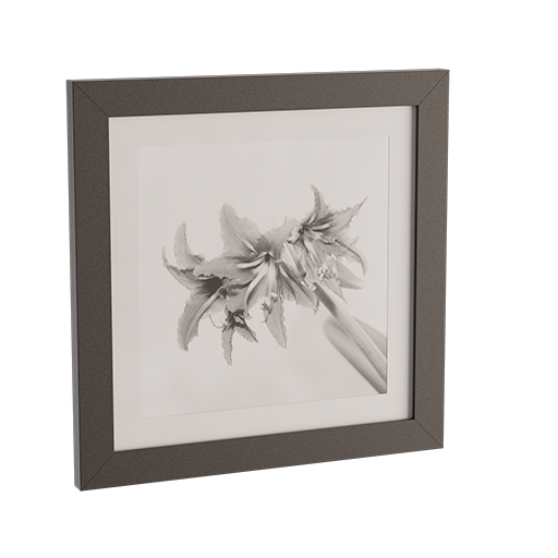 Picture Frame 03