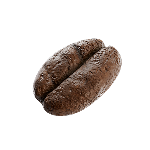 Coffee Bean 02