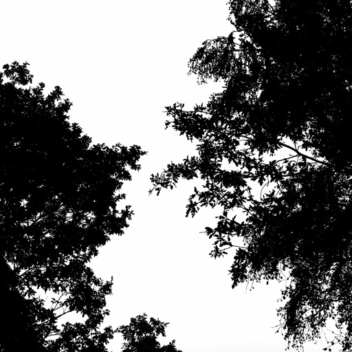 mxn_gobos_ext_tree_004_v01_srgb.png