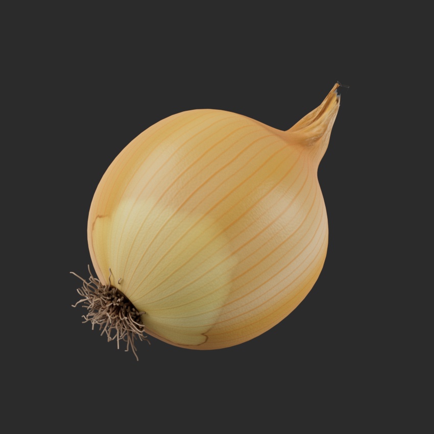 Onion - Yellow Skin