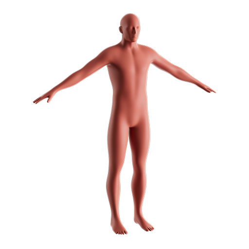 Male Base