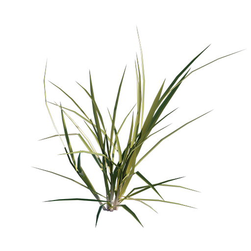 Grass 02 - Mid Size