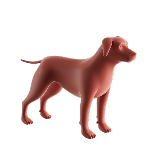 Dog Base