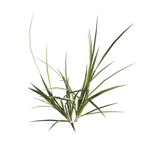 Grass 03 - Mid Size