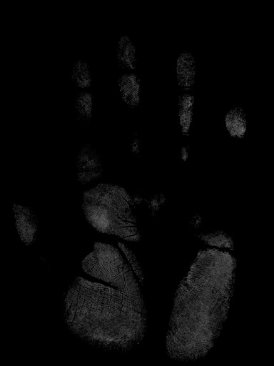 si-v1_fingerprints_stamp_02_palmprint_4k.png