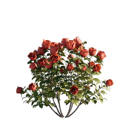 Roses - Red - 0.31 m