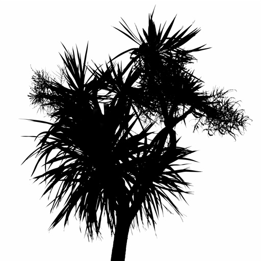mxn_gobos_ext_palm_small_009_v01_srgb.png