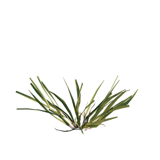 Grass 02 - Cut