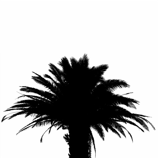 mxn_gobos_ext_palm_large_002_v01_srgb.png