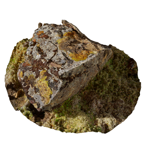Rock 06