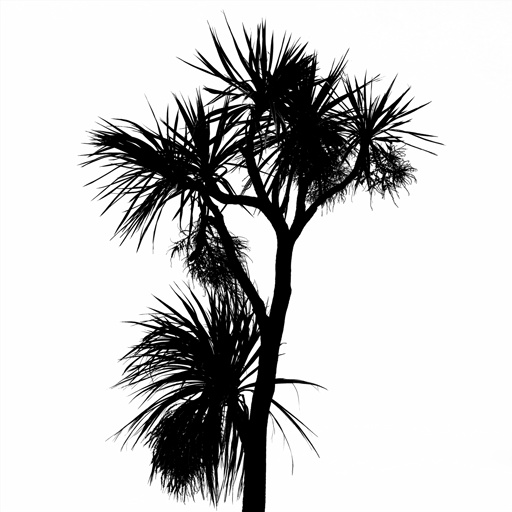mxn_gobos_ext_palm_small_007_v01_srgb.png