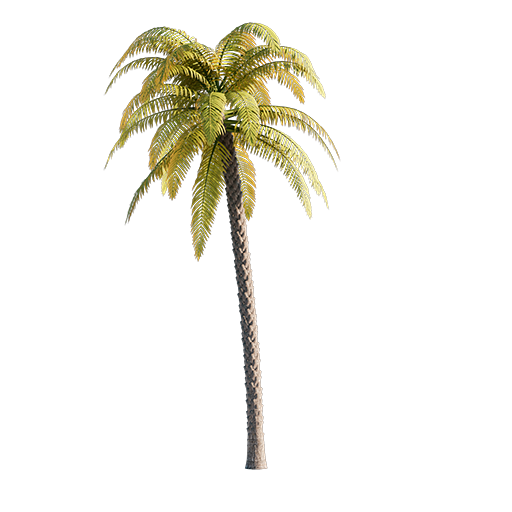 Palm Tree 03 - 15.75 m