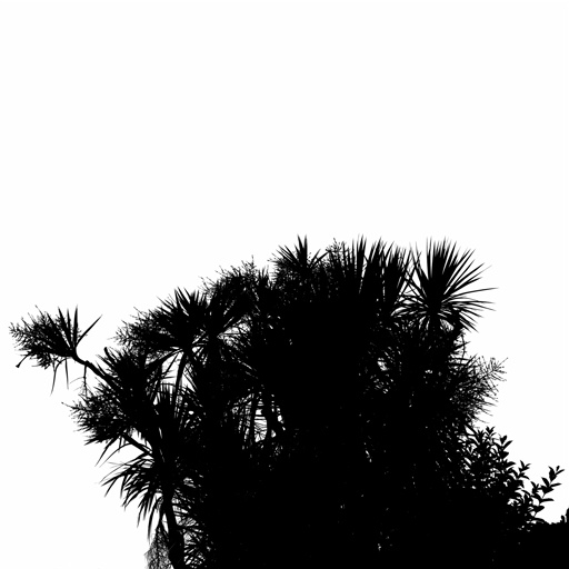 mxn_gobos_ext_palm_large_001_v01_srgb.png