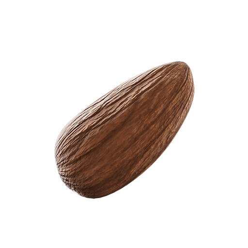 Almond 02