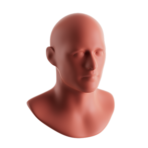 Male Bust