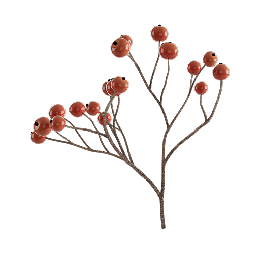 Berry Branch 03
