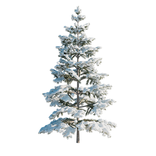 Fir Tree - Snowy - 3.1 m