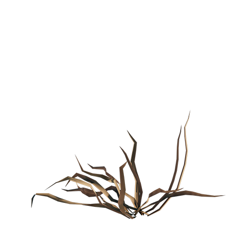 Grass 04 - Dry