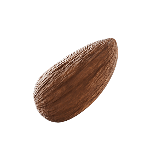 Almond 01