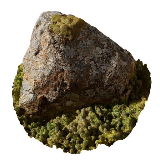 Rock 09