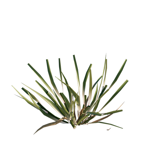 Grass 03 - Cut