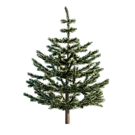 Fir - Small - 1.2 m