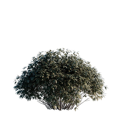 Bush 01 - 0.9 m