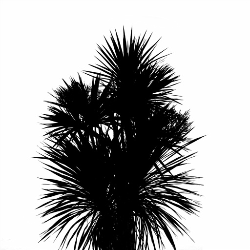 mxn_gobos_ext_palm_small_002_v01_srgb.png
