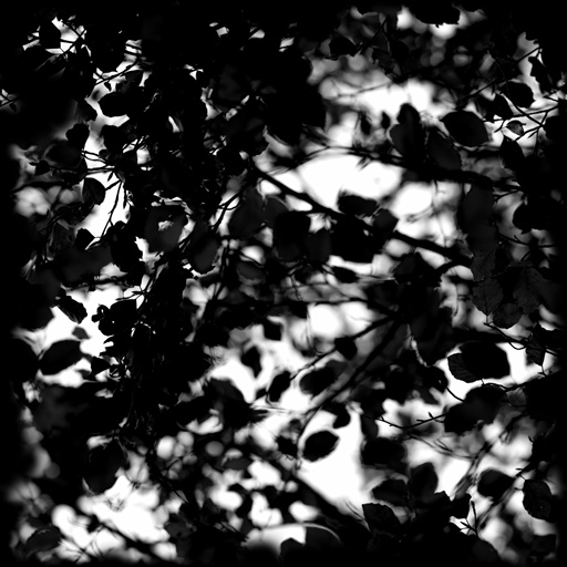 mxn_gobos_ext_tree_tile_uv_003_v01_srgb.png