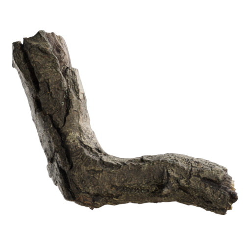 Wood 04