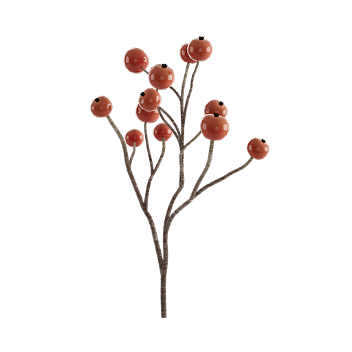 Berry Branch 02