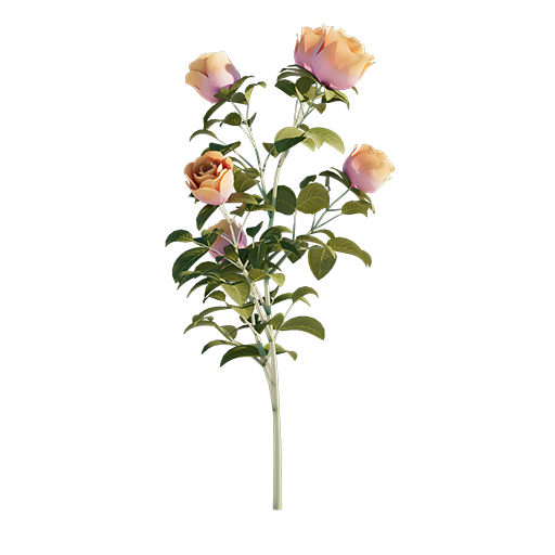 Roses - Branch - 0.30 m