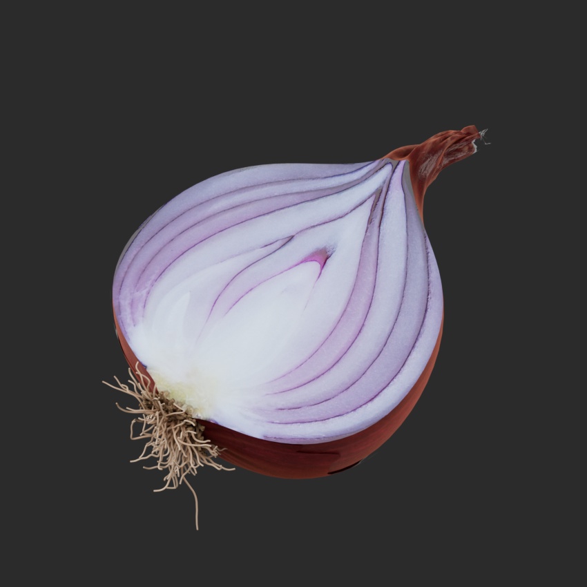Onion - Red Skin - Cut
