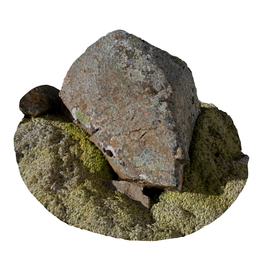 Rock 08