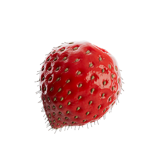 Strawberry 02