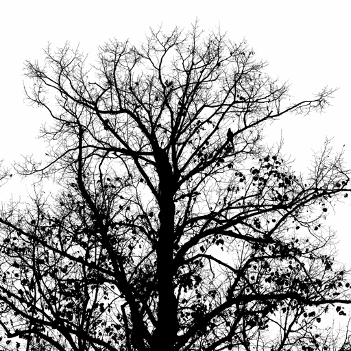 mxn_gobos_ext_tree_019_v01_srgb.png