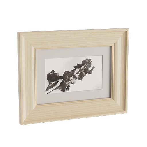 Picture Frame 04