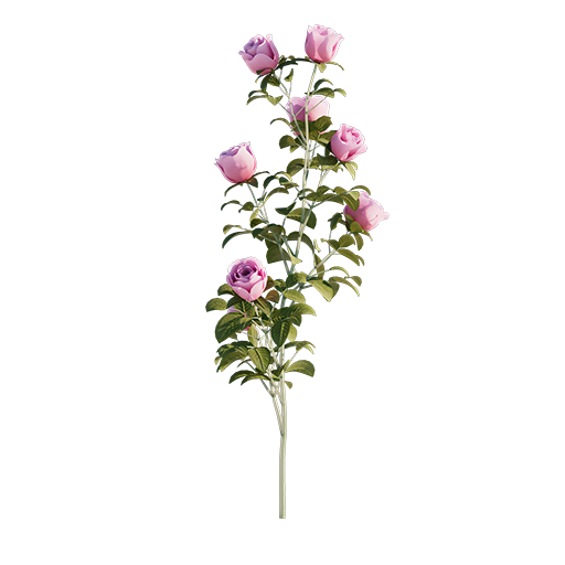 Roses - Branch - 0.41 m