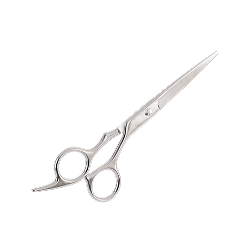 Scissors - Hair 01