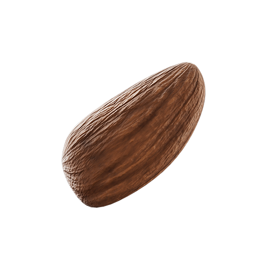 Almond 03