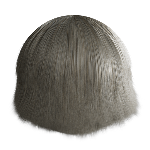 Graying Hair 01