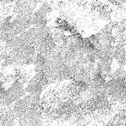 Dirt 05 - Tileable.jpg