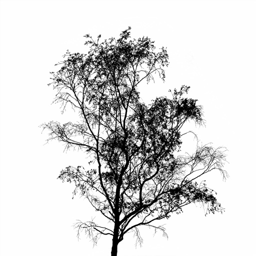 mxn_gobos_ext_tree_013_v01_srgb.png