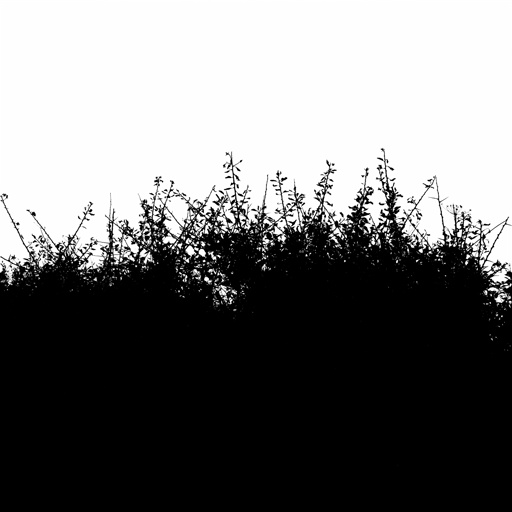 mxn_gobos_ext_grass_strip_tile_u_001_v01_srgb.png