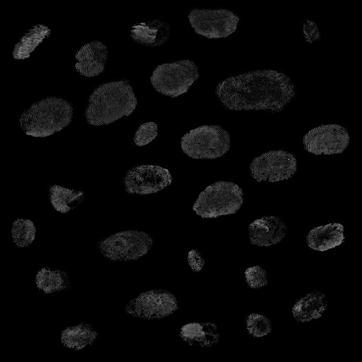 si-v1_fingerprints_stamp_01_15cm_4k.png