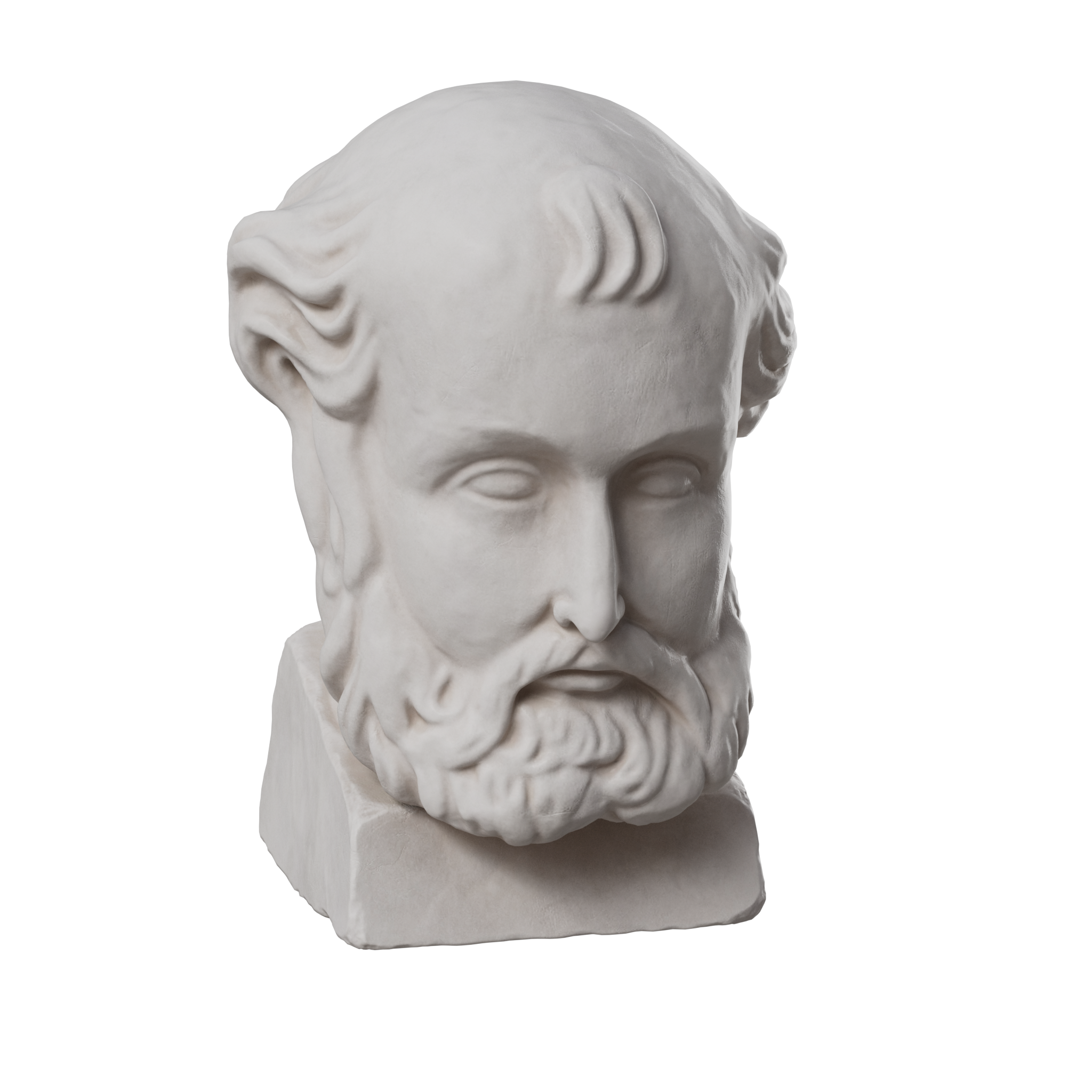 Bust
