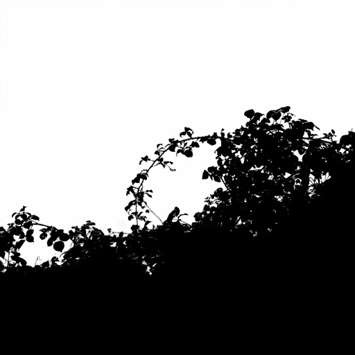 mxn_gobos_ext_bush_blackberry_strip_003_v01_srgb.png